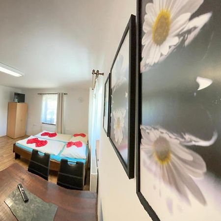 Apartment Nedrik โรกีนีซ นัด ยีเซอโร ภายนอก รูปภาพ