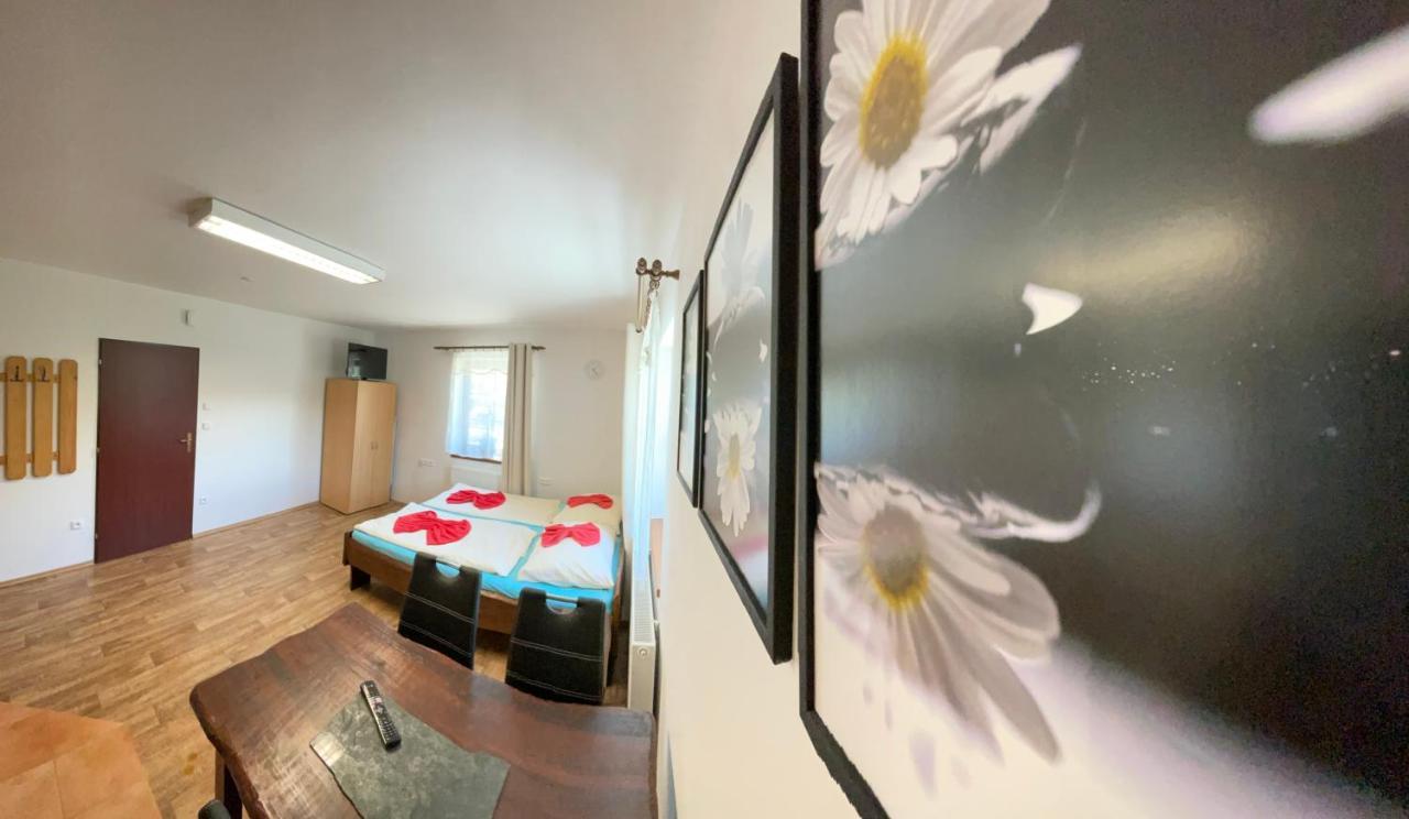 Apartment Nedrik โรกีนีซ นัด ยีเซอโร ภายนอก รูปภาพ