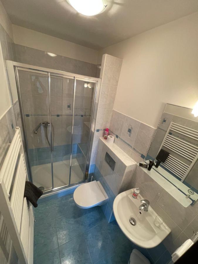 Apartment Nedrik โรกีนีซ นัด ยีเซอโร ภายนอก รูปภาพ